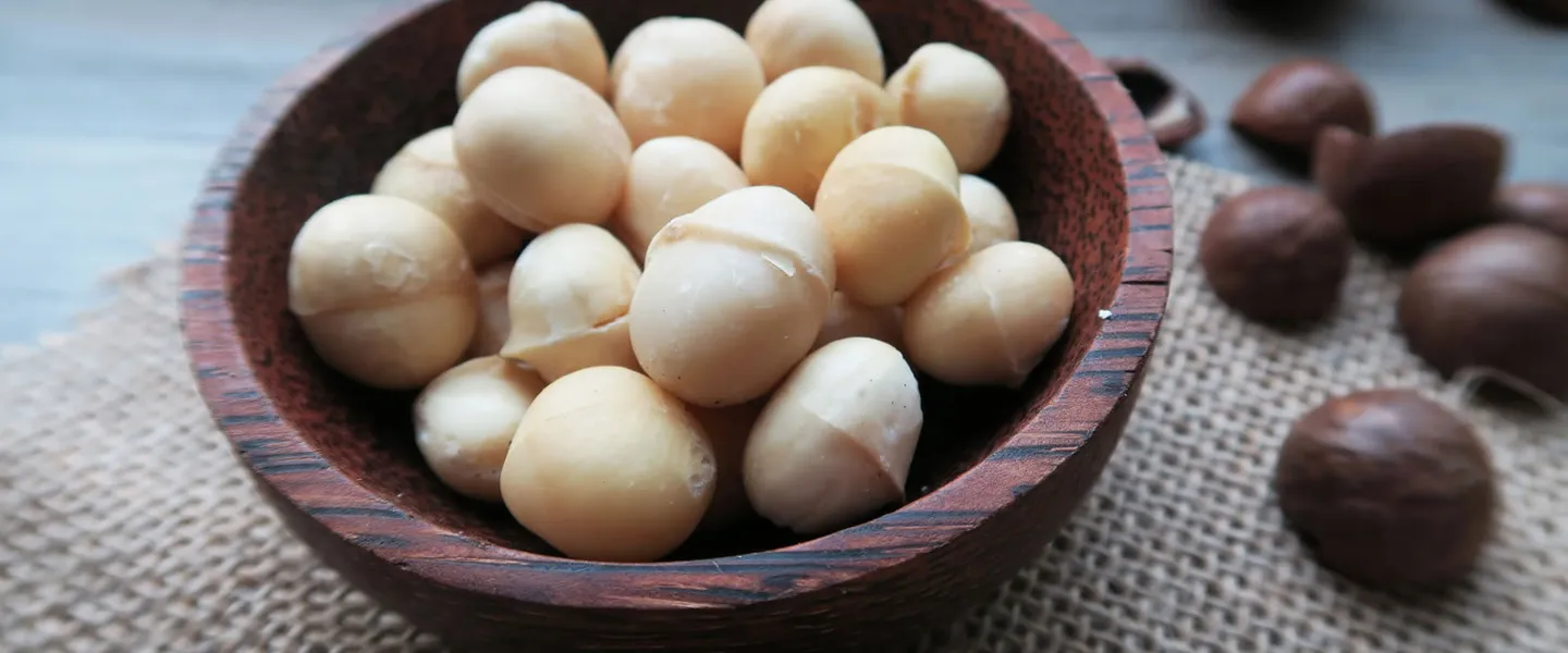 夏威夷豆完整百科 — 從產地到餐桌