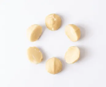 夏威夷豆半顆規格 (Style 4LL, Style 4L) - 精選半粒